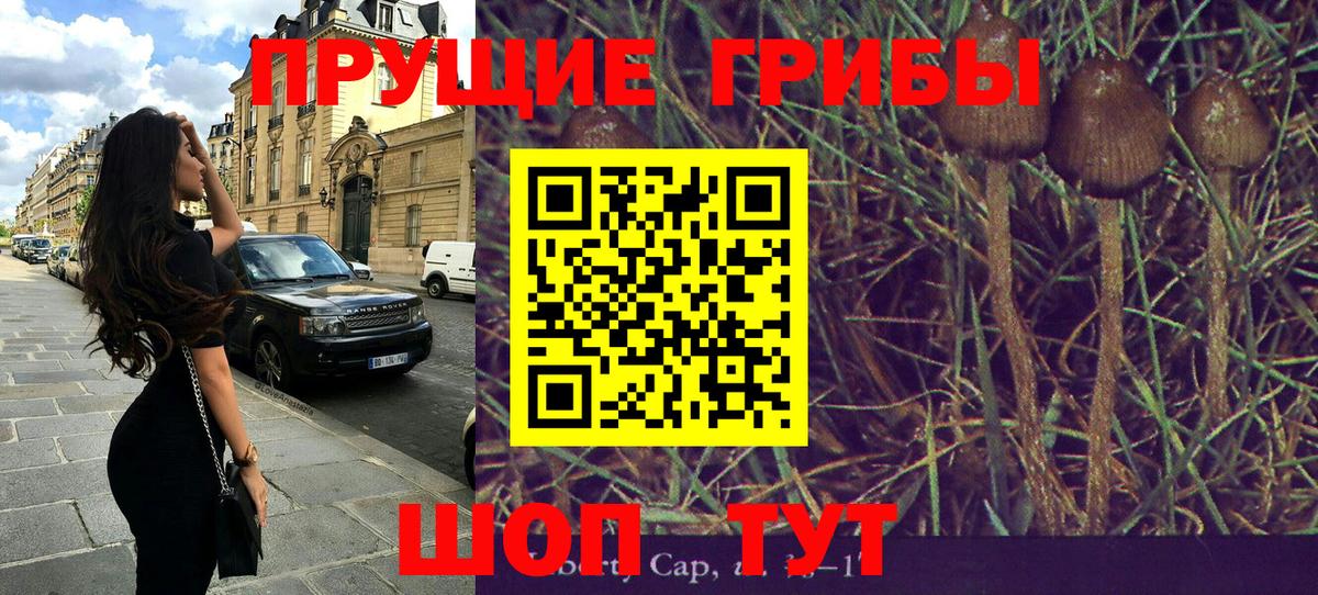 Галлюциногенные грибы MAGIC MUSHROOMS Кирово-Чепецк