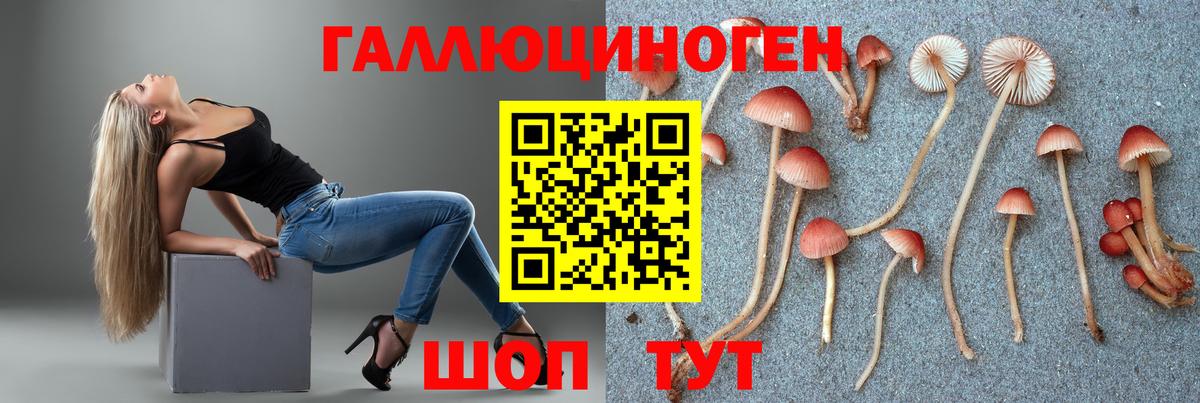 Кирово-Чепецк  Псилоцибиновые грибы прущие грибы  как найти закладки  Вход с VPN 